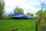 AMTL 1359